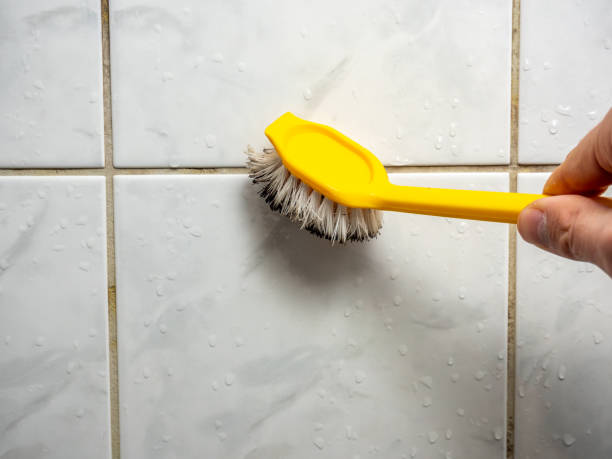 Best Local Mold Removal Service  in Oak Hill, TN