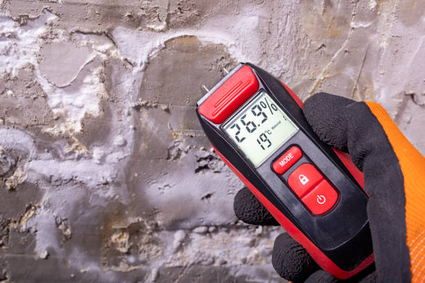 Best Emergency Mold Removal  in Oak Hill, TN
